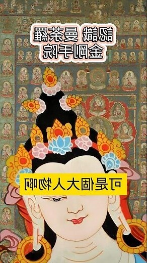 菩提 相片